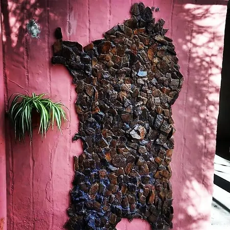 Nyaraló -giardino- Tussen De Olijvenbomen