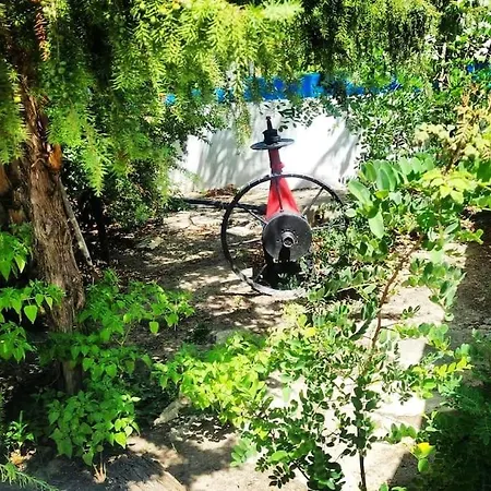 Nyaraló -giardino- Tussen De Olijvenbomen Donori