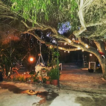 -giardino- Tussen De Olijvenbomen 펜션 Donori
