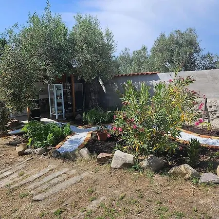 -giardino- Tussen De Olijvenbomen Hébergement de vacances Donori