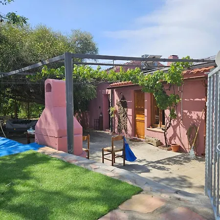 -giardino- Tussen De Olijvenbomen