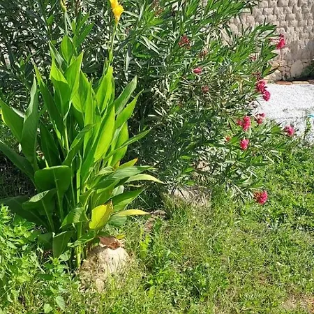 Holiday home -giardino- Tussen De Olijvenbomen