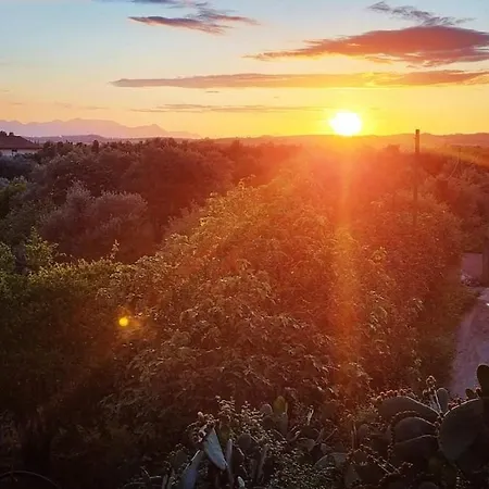 Holiday home -giardino- Tussen De Olijvenbomen *