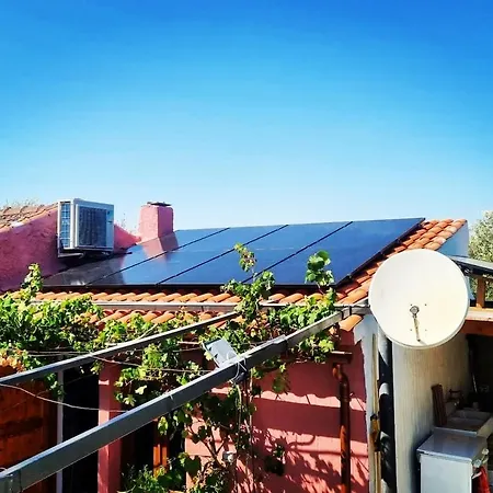 -giardino- Tussen De Olijvenbomen Holiday home