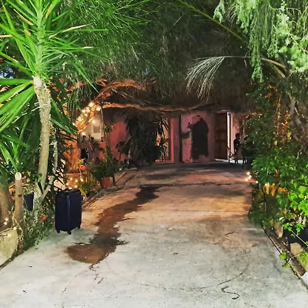 -giardino- Tussen De Olijvenbomen Holiday home Donori