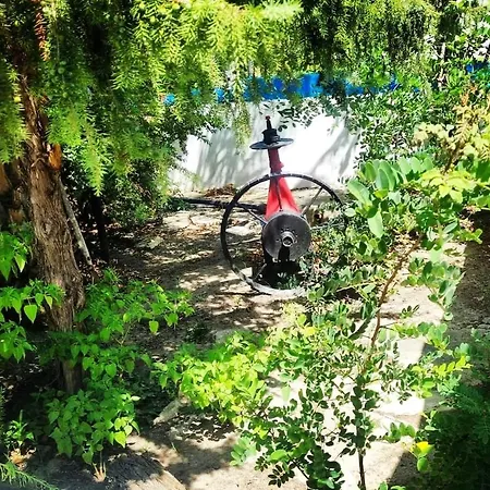 Сasa de vacaciones -giardino- Tussen De Olijvenbomen Donori