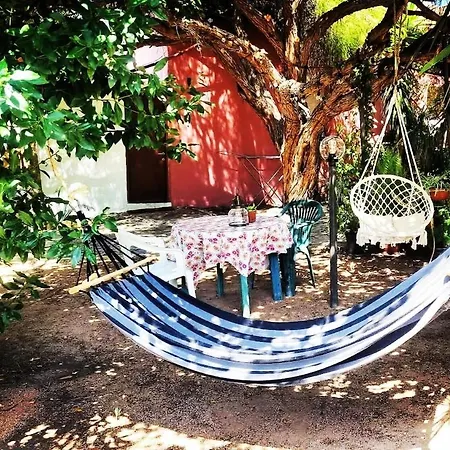 Holiday home -giardino- Tussen De Olijvenbomen