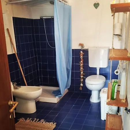 -giardino- Tussen De Olijvenbomen Donori