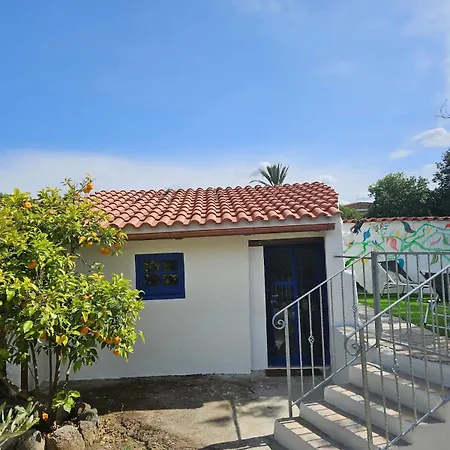 -giardino- Tussen De Olijvenbomen