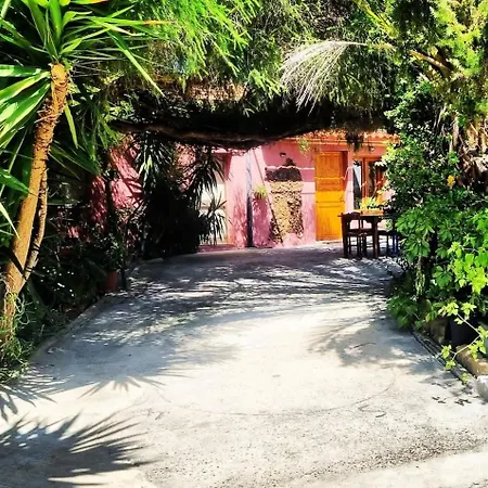 -giardino- Tussen De Olijvenbomen Сasa de vacaciones Donori