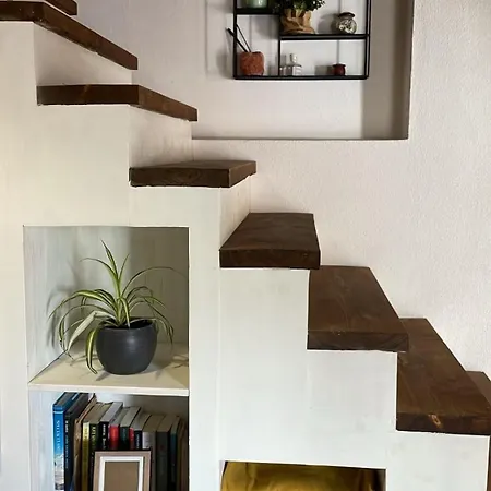 -giardino- Tussen De Olijvenbomen Donori