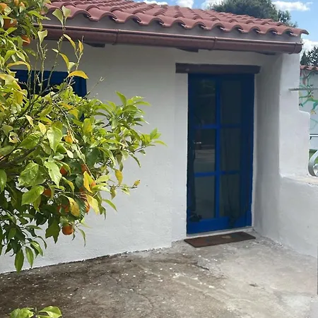 -giardino- Tussen De Olijvenbomen * Donori