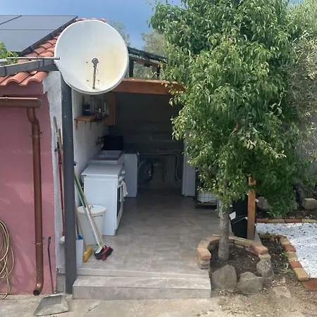 -giardino- Tussen De Olijvenbomen Donori