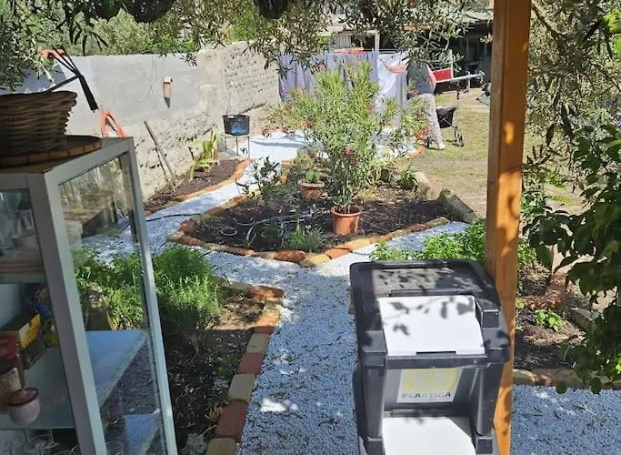 -giardino- Tussen De Olijvenbomen Donori