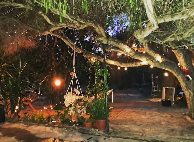 -giardino- Tussen De Olijvenbomen Сasa de vacaciones Donori
