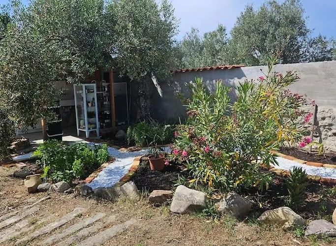 -giardino- Tussen De Olijvenbomen Сasa de vacaciones Donori
