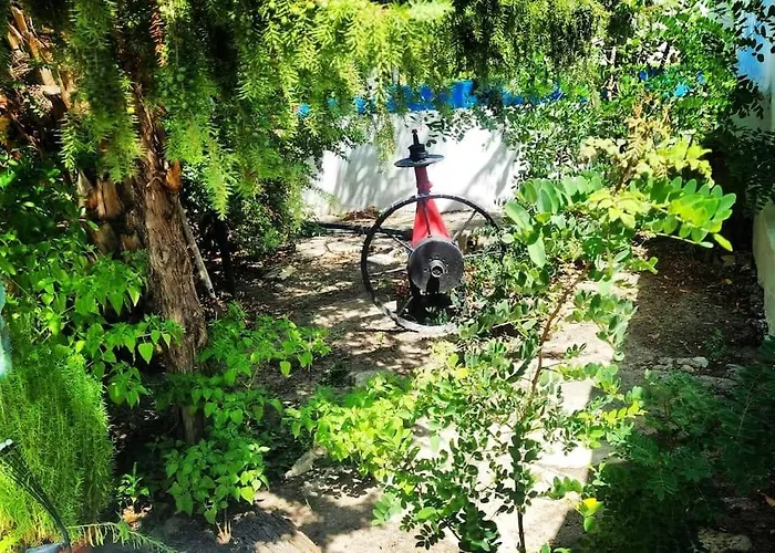 Сasa de vacaciones -giardino- Tussen De Olijvenbomen Donori