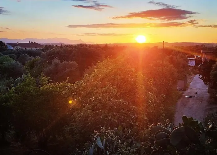 Сasa de vacaciones -giardino- Tussen De Olijvenbomen *