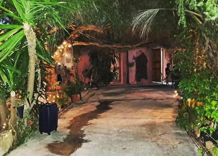 -giardino- Tussen De Olijvenbomen Сasa de vacaciones Donori