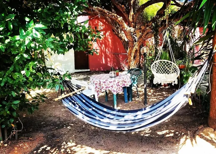 Сasa de vacaciones -giardino- Tussen De Olijvenbomen